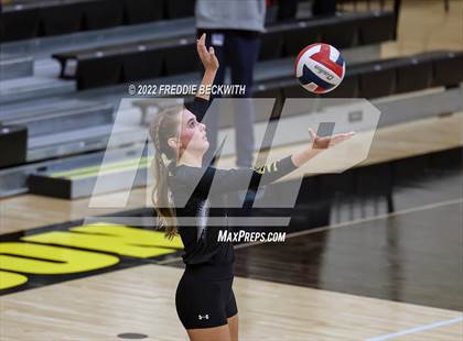 Thumbnail 1 in Sherman @ Denison photogallery.