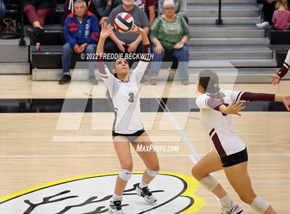 Thumbnail 1 in Sherman @ Denison photogallery.