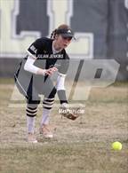Photo from the gallery "Kuna @ Bishop Kelly"