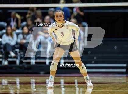Thumbnail 2 in Johnson City vs. Wink (UIL 2A Volleyball Division I Final) photogallery.