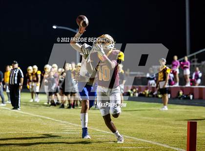 Thumbnail 1 in Celeste @ Collinsville photogallery.