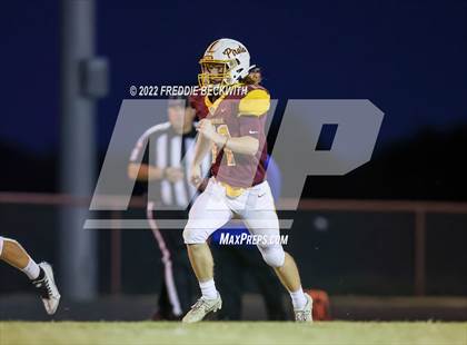 Thumbnail 2 in Celeste @ Collinsville photogallery.