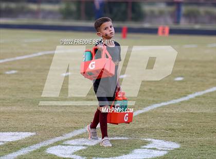 Thumbnail 1 in Celeste @ Collinsville photogallery.
