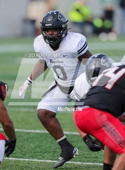 Thumbnail 3 in Bigelow vs. East Poinsett County (AAA 2A Final) photogallery.