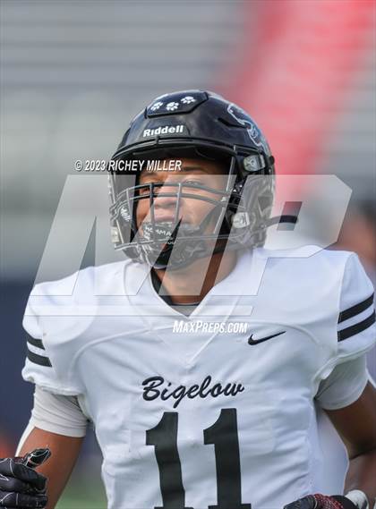 Thumbnail 2 in Bigelow vs. East Poinsett County (AAA 2A Final) photogallery.