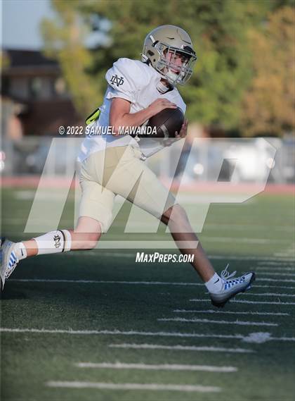 Thumbnail 3 in  Notre Dame (SO) @ Crespi photogallery.