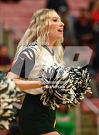Photo from the gallery "Sycamore @ Fairfield"