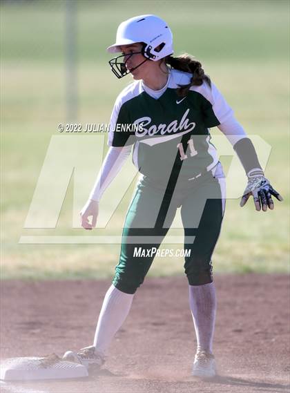 Thumbnail 1 in Borah @ Centennial photogallery.