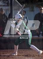 Photo from the gallery "Borah @ Centennial"