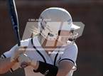 Photo from the gallery "Borah @ Centennial"