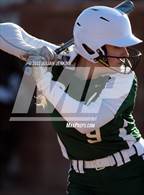 Photo from the gallery "Borah @ Centennial"