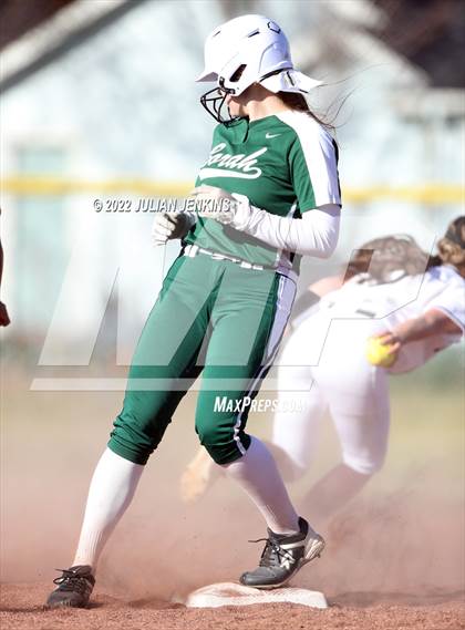 Thumbnail 3 in Borah @ Centennial photogallery.