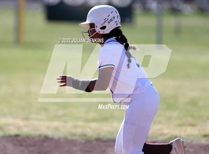 Thumbnail 3 in Borah @ Centennial photogallery.
