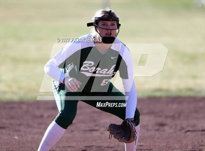Thumbnail 2 in Borah @ Centennial photogallery.