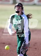 Photo from the gallery "Borah @ Centennial"