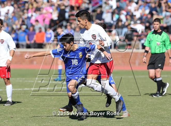 null - Photo 11