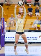 Photo from the gallery "Norwell @ Leo"