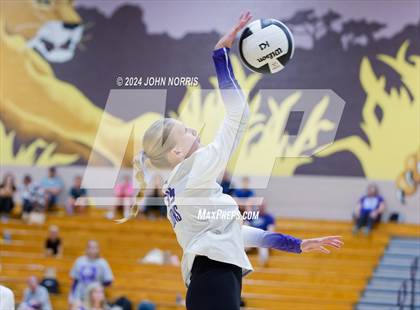 Thumbnail 2 in Norwell @ Leo photogallery.