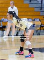 Photo from the gallery "Norwell @ Leo"