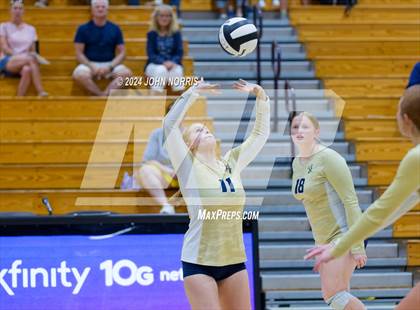 Thumbnail 2 in Norwell @ Leo photogallery.