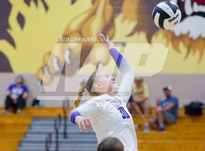 Thumbnail 1 in Norwell @ Leo photogallery.