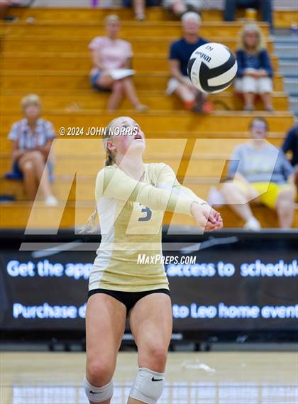 Thumbnail 3 in Norwell @ Leo photogallery.