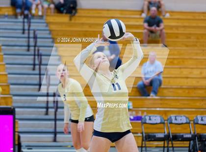 Thumbnail 3 in Norwell @ Leo photogallery.