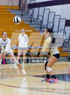 Photo from the gallery "Norwell @ Leo"