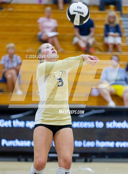 Thumbnail 1 in Norwell @ Leo photogallery.
