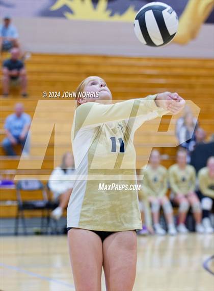 Thumbnail 1 in Norwell @ Leo photogallery.