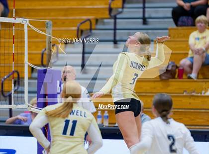 Thumbnail 3 in Norwell @ Leo photogallery.