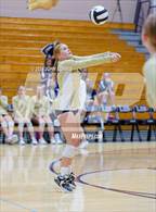 Photo from the gallery "Norwell @ Leo"