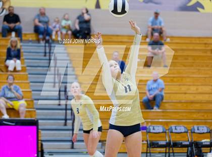 Thumbnail 3 in Norwell @ Leo photogallery.