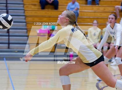 Thumbnail 2 in Norwell @ Leo photogallery.