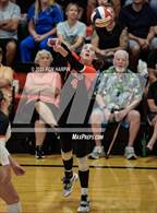 Photo from the gallery "Spanish Springs @ Douglas"