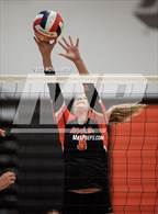 Photo from the gallery "Spanish Springs @ Douglas"