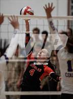 Photo from the gallery "Spanish Springs @ Douglas"