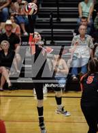 Photo from the gallery "Spanish Springs @ Douglas"