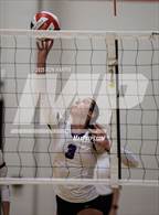 Photo from the gallery "Spanish Springs @ Douglas"