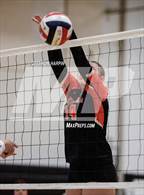 Photo from the gallery "Spanish Springs @ Douglas"