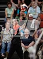 Photo from the gallery "Spanish Springs @ Douglas"
