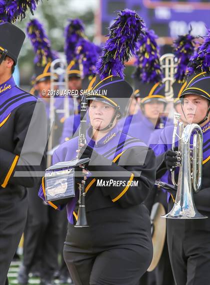 Thumbnail 1 in Bourgeois @ Thibodaux photogallery.