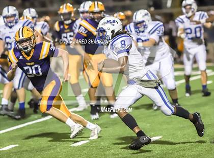 Thumbnail 1 in Bourgeois @ Thibodaux photogallery.