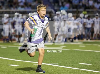 Thumbnail 3 in Bourgeois @ Thibodaux photogallery.