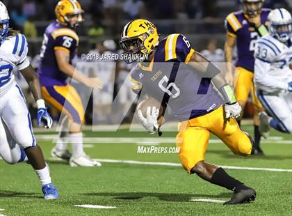 Thumbnail 1 in Bourgeois @ Thibodaux photogallery.