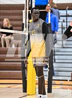 Photo from the gallery "DSST: Cedar @ Thomas Jefferson"