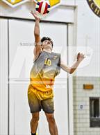Photo from the gallery "DSST: Cedar @ Thomas Jefferson"