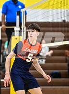 Photo from the gallery "DSST: Cedar @ Thomas Jefferson"