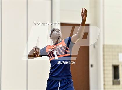 Thumbnail 1 in DSST: Cedar @ Thomas Jefferson photogallery.