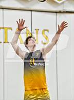 Photo from the gallery "DSST: Cedar @ Thomas Jefferson"